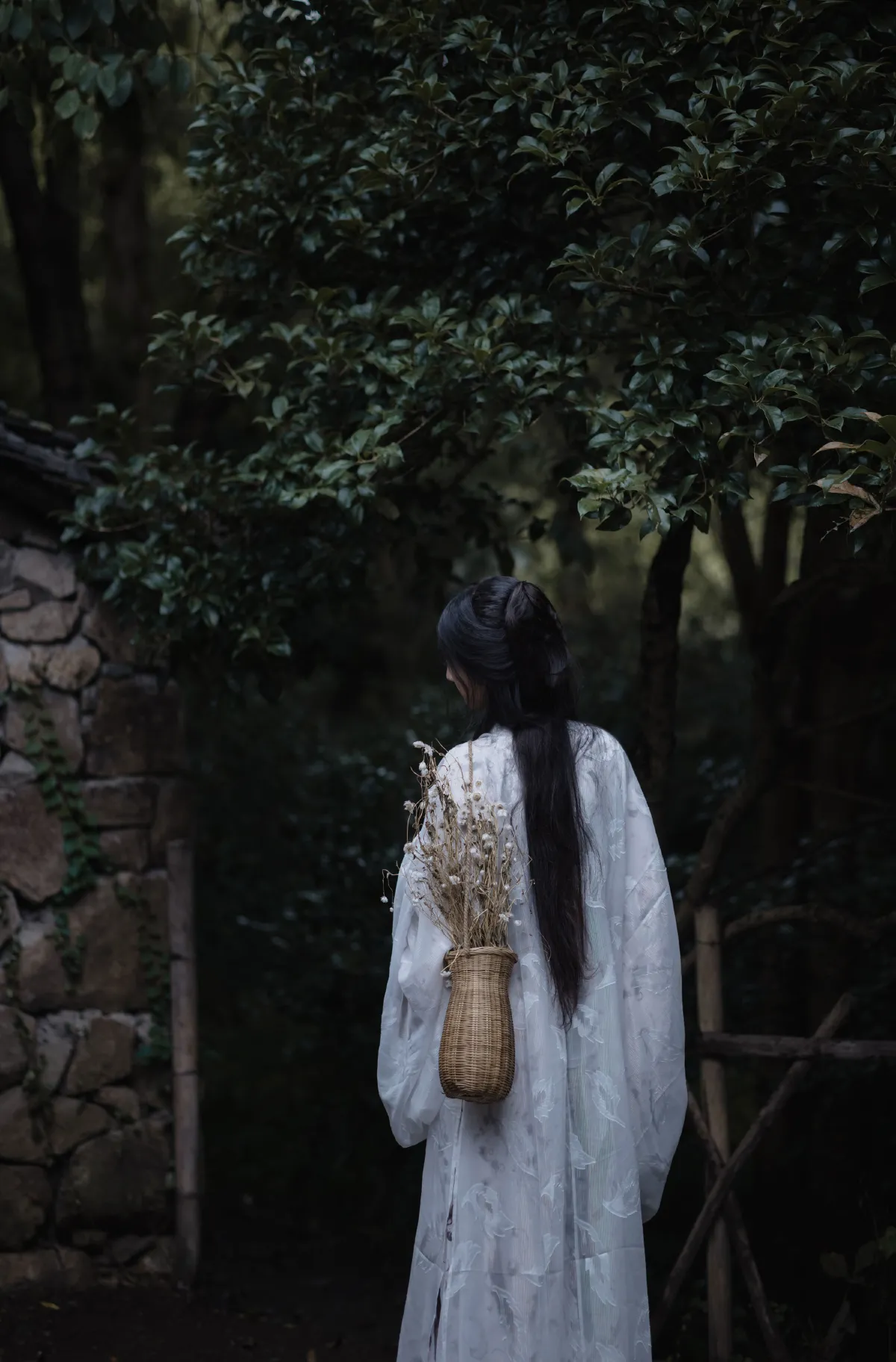 倚楼听风雨
