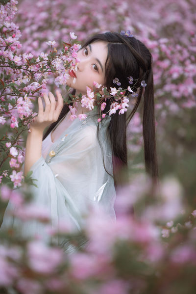 春来时