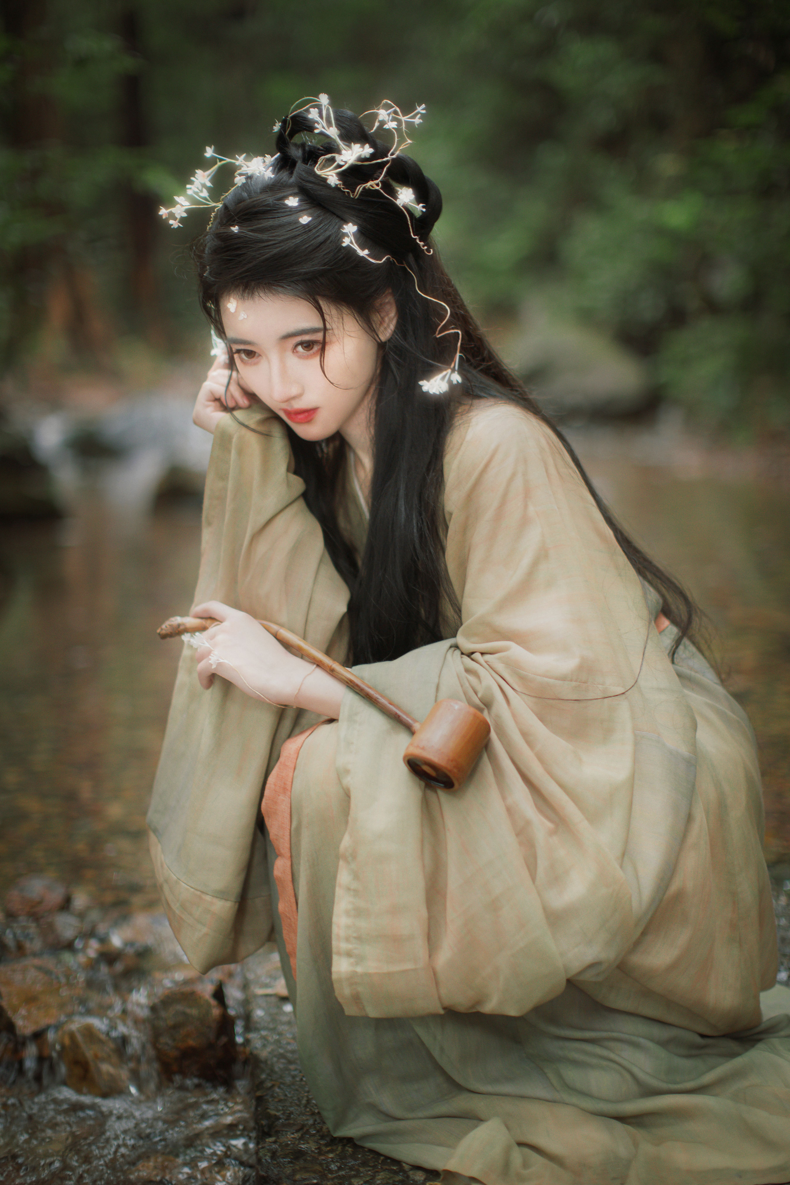 菟丝子1