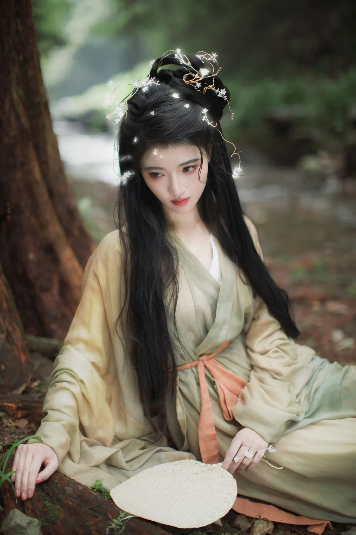 菟丝子
