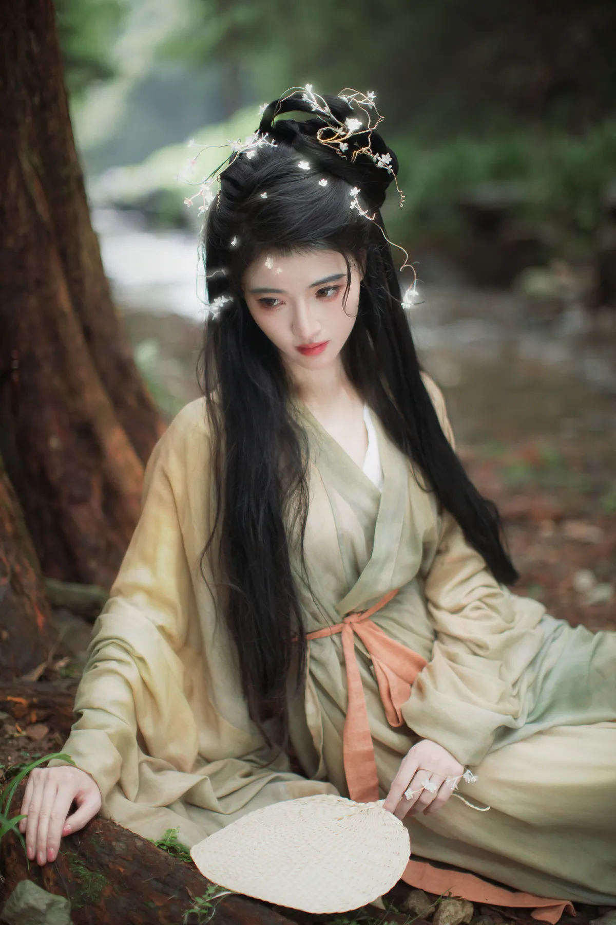 菟丝子3