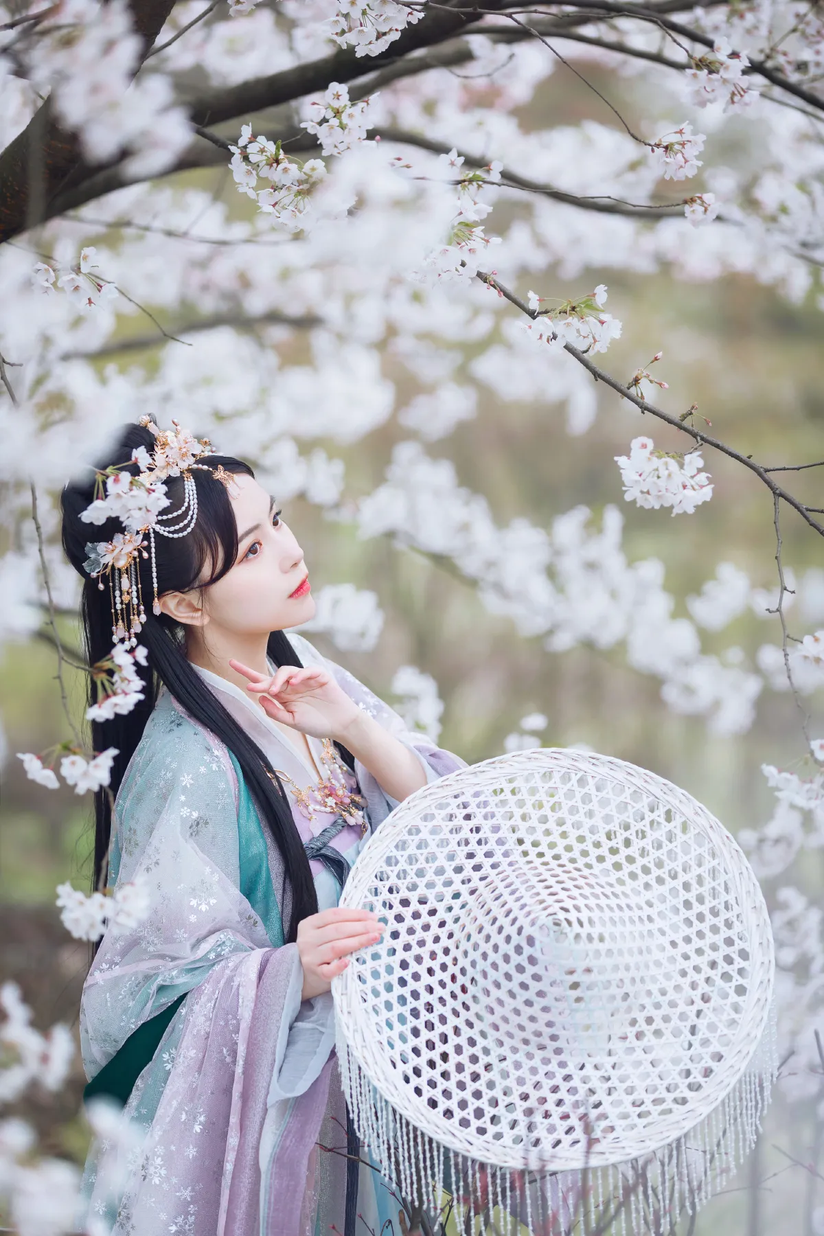 花神5
