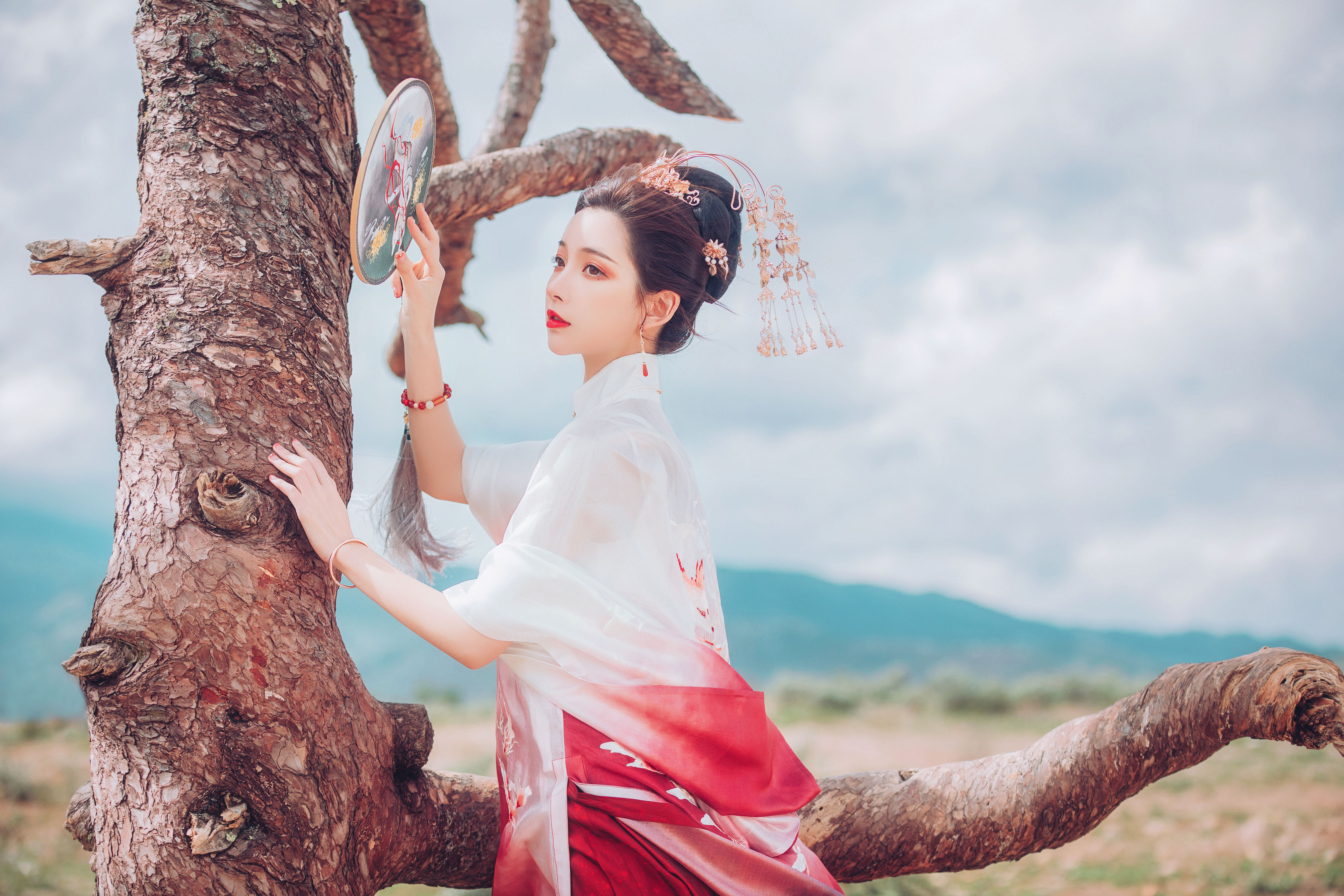 火狐1
