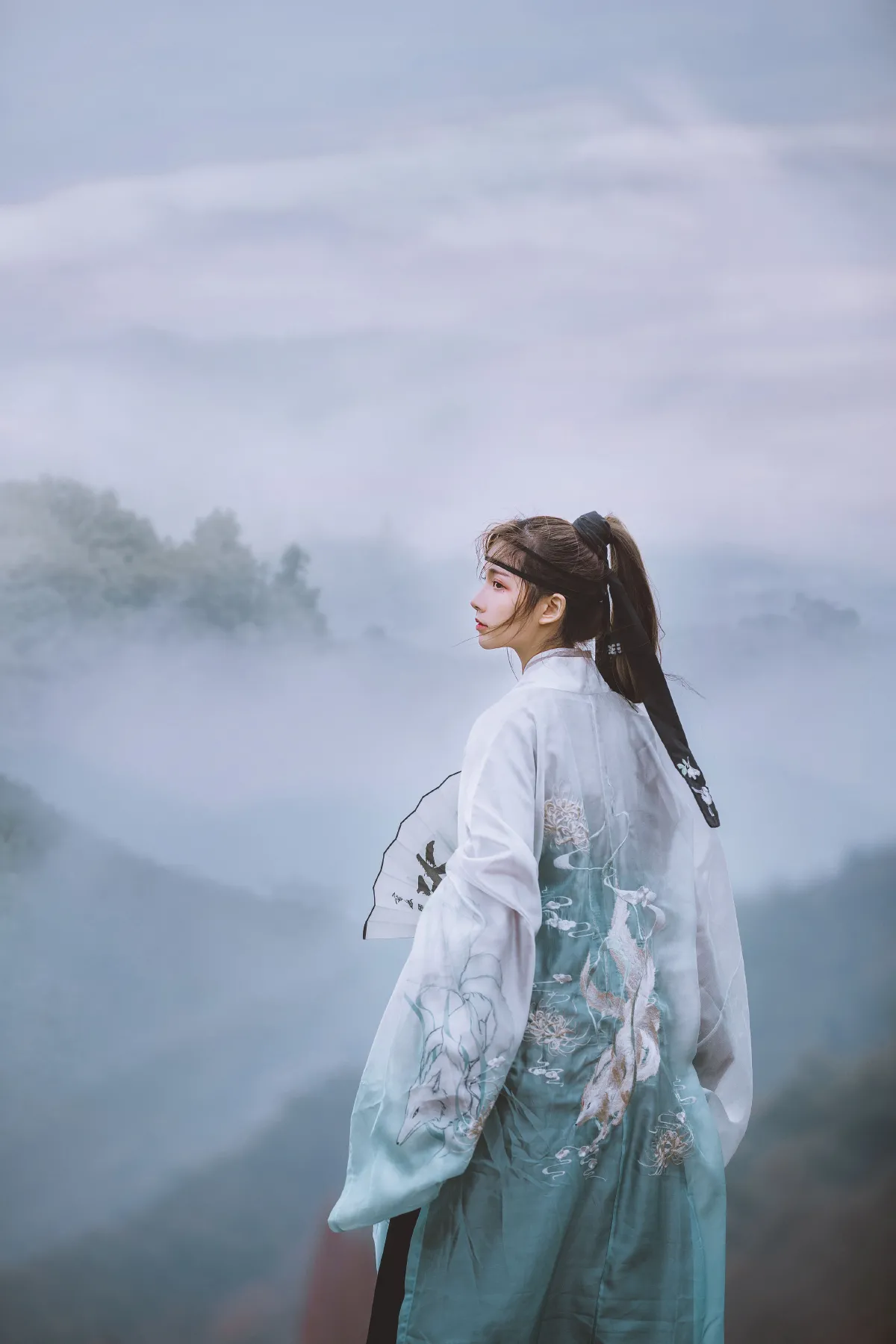 青丘青狐1