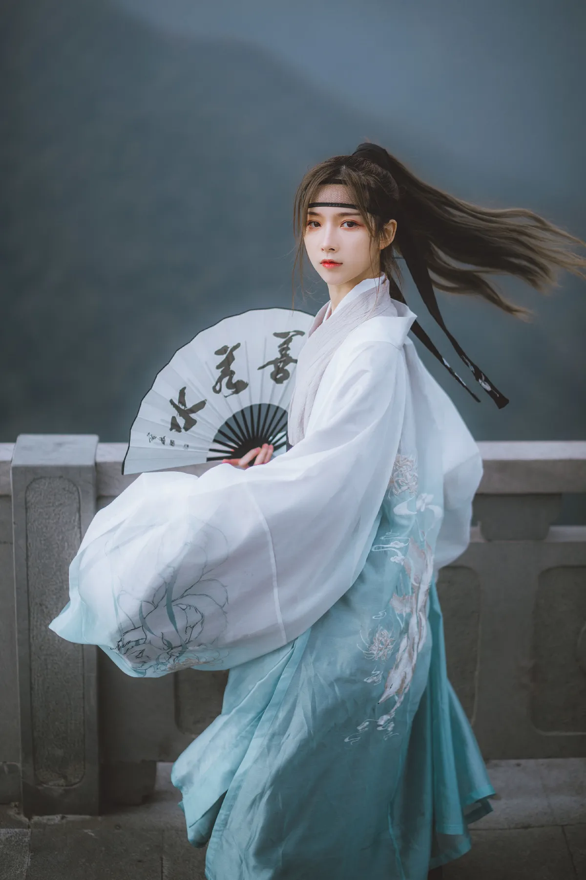 青丘青狐5