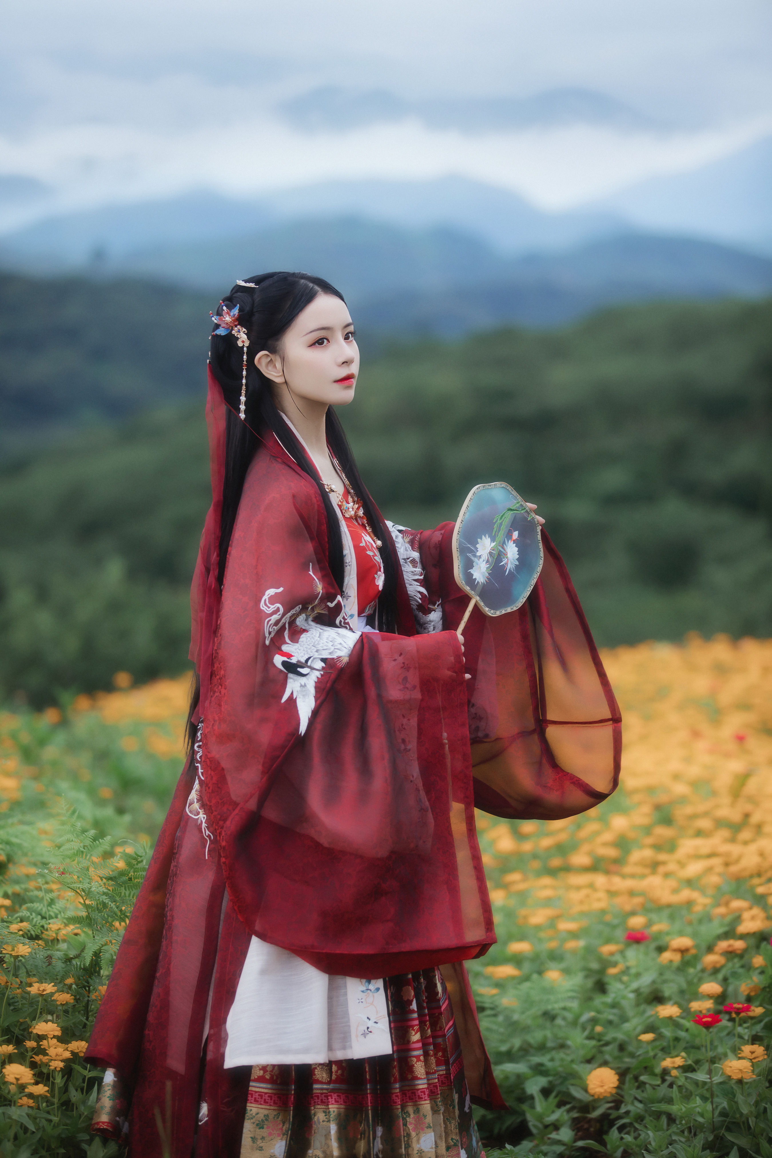 羽衣仙1