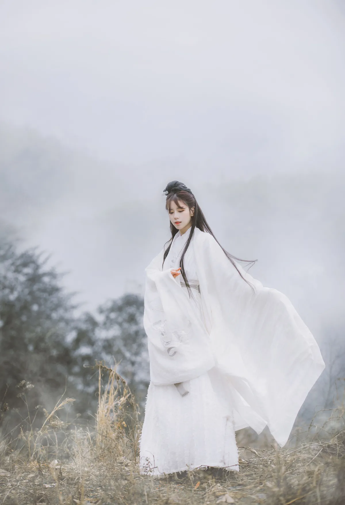 大司命2