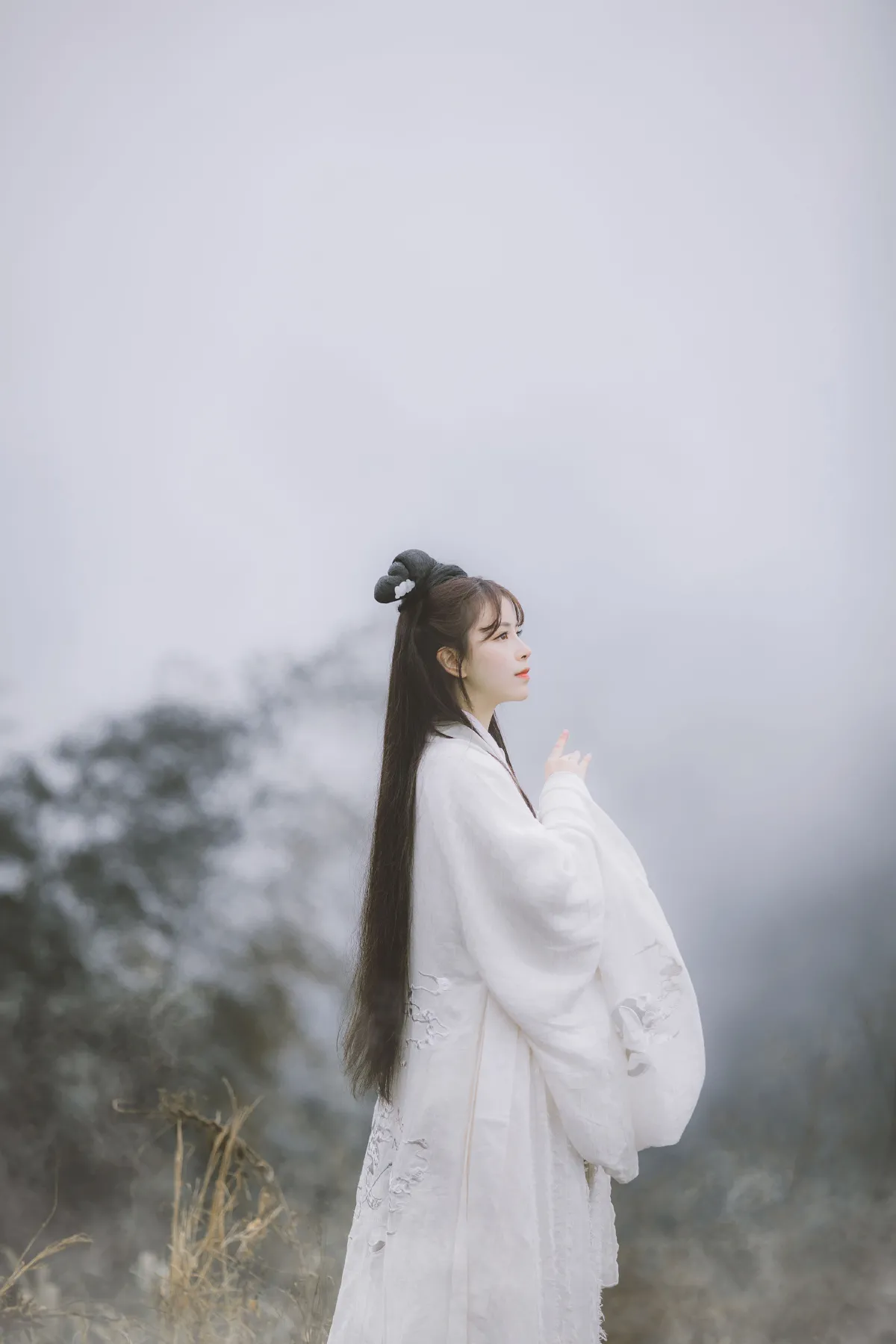 大司命3