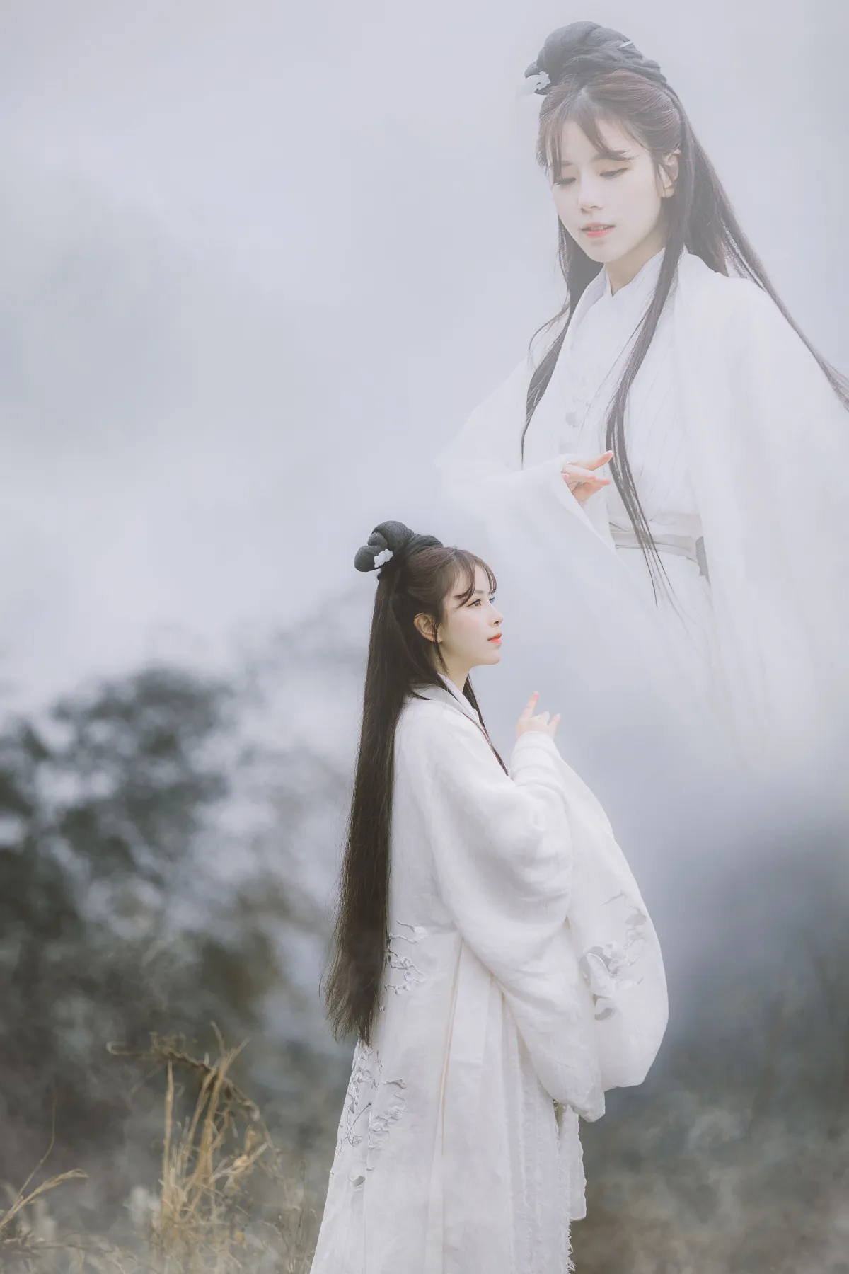 大司命4