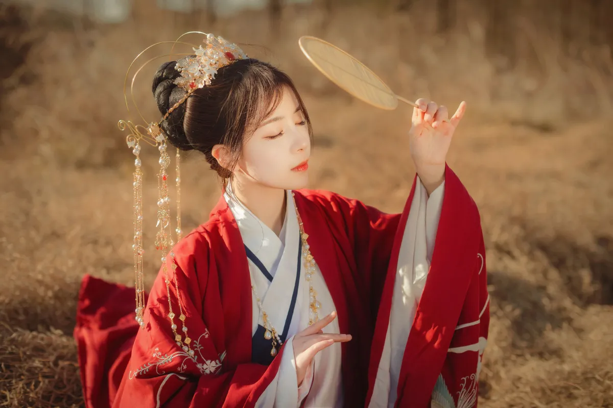 扶摇歌4