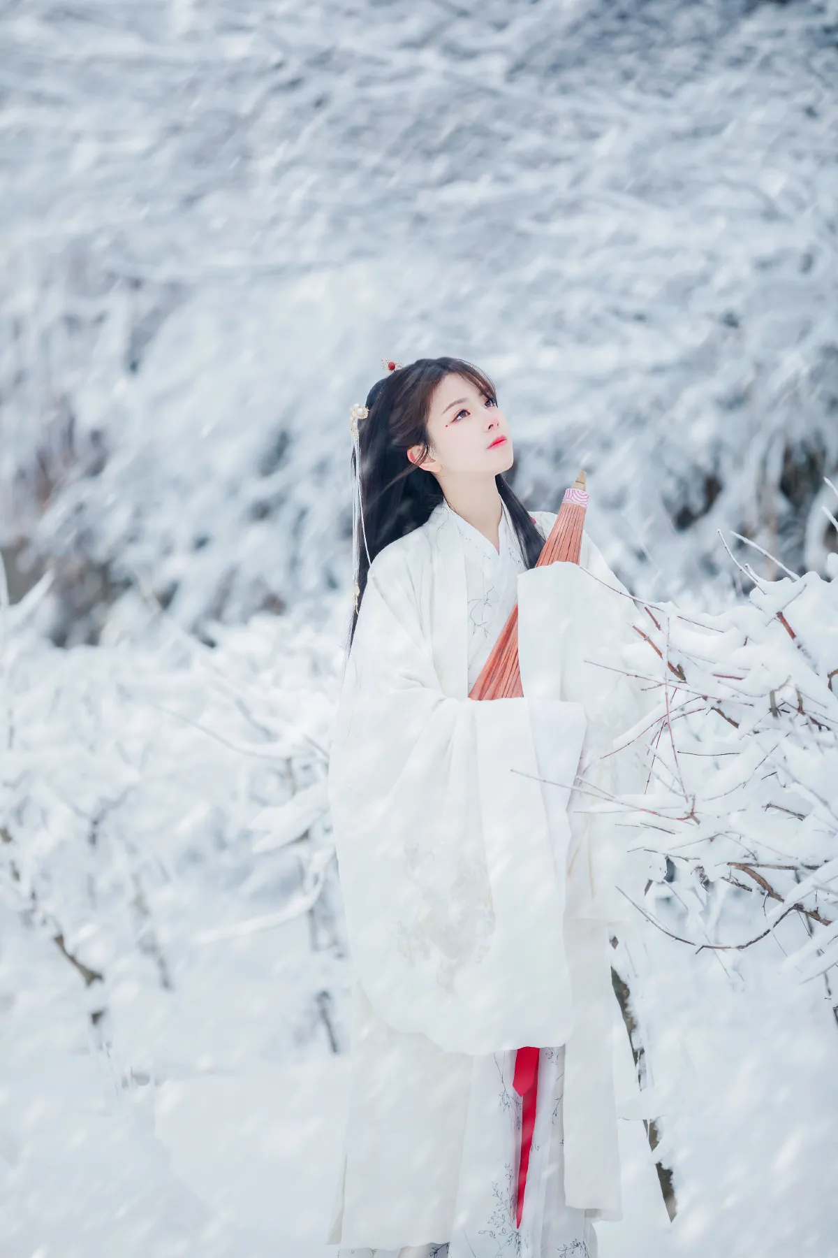 眉间雪5