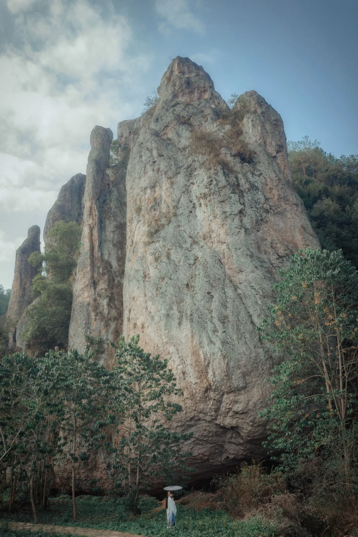 涂山狐仙2