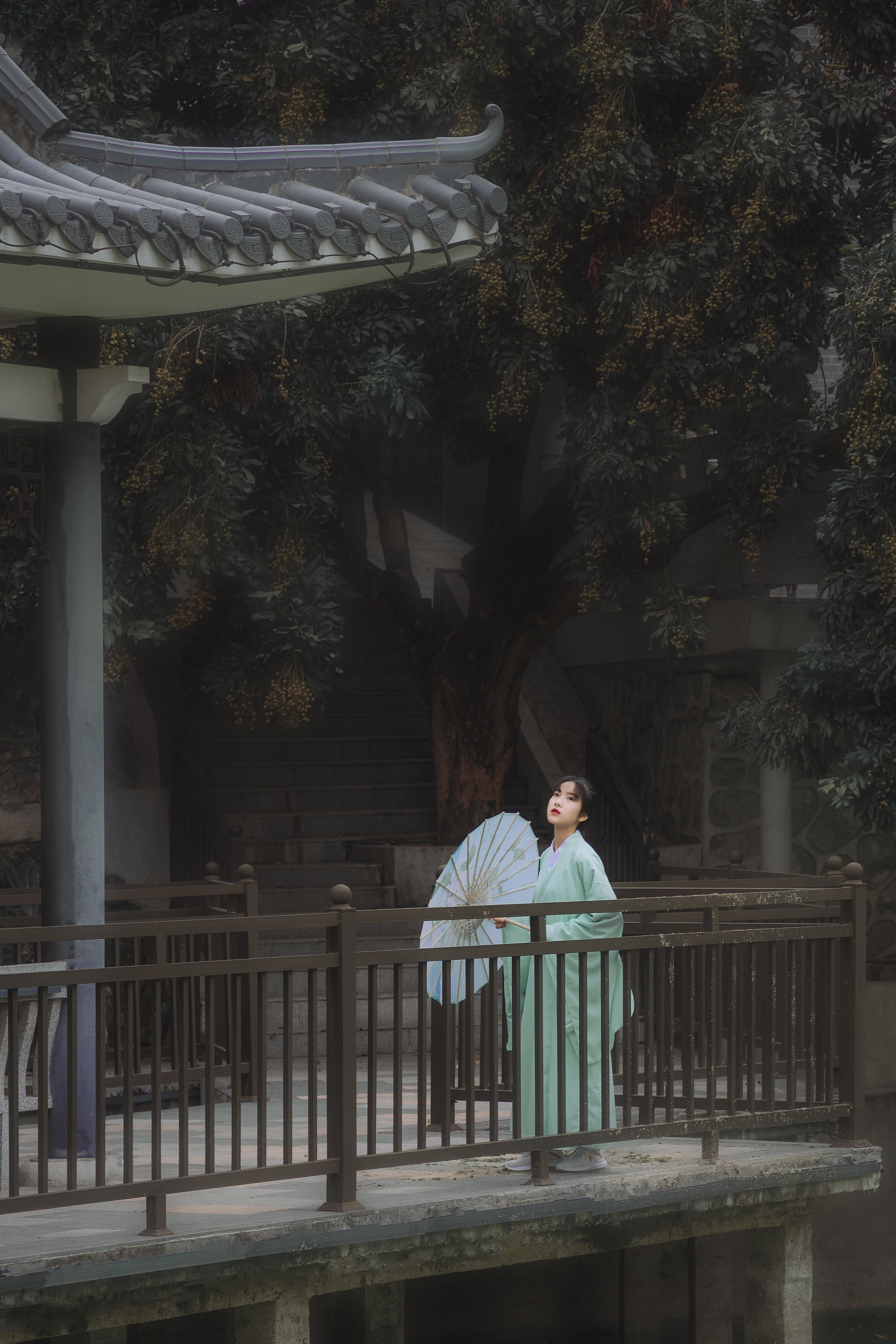 破晓X_简小橙《青衫故人》美图作品图片1