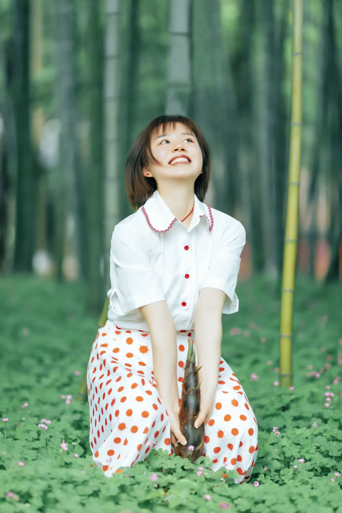 邻家女孩