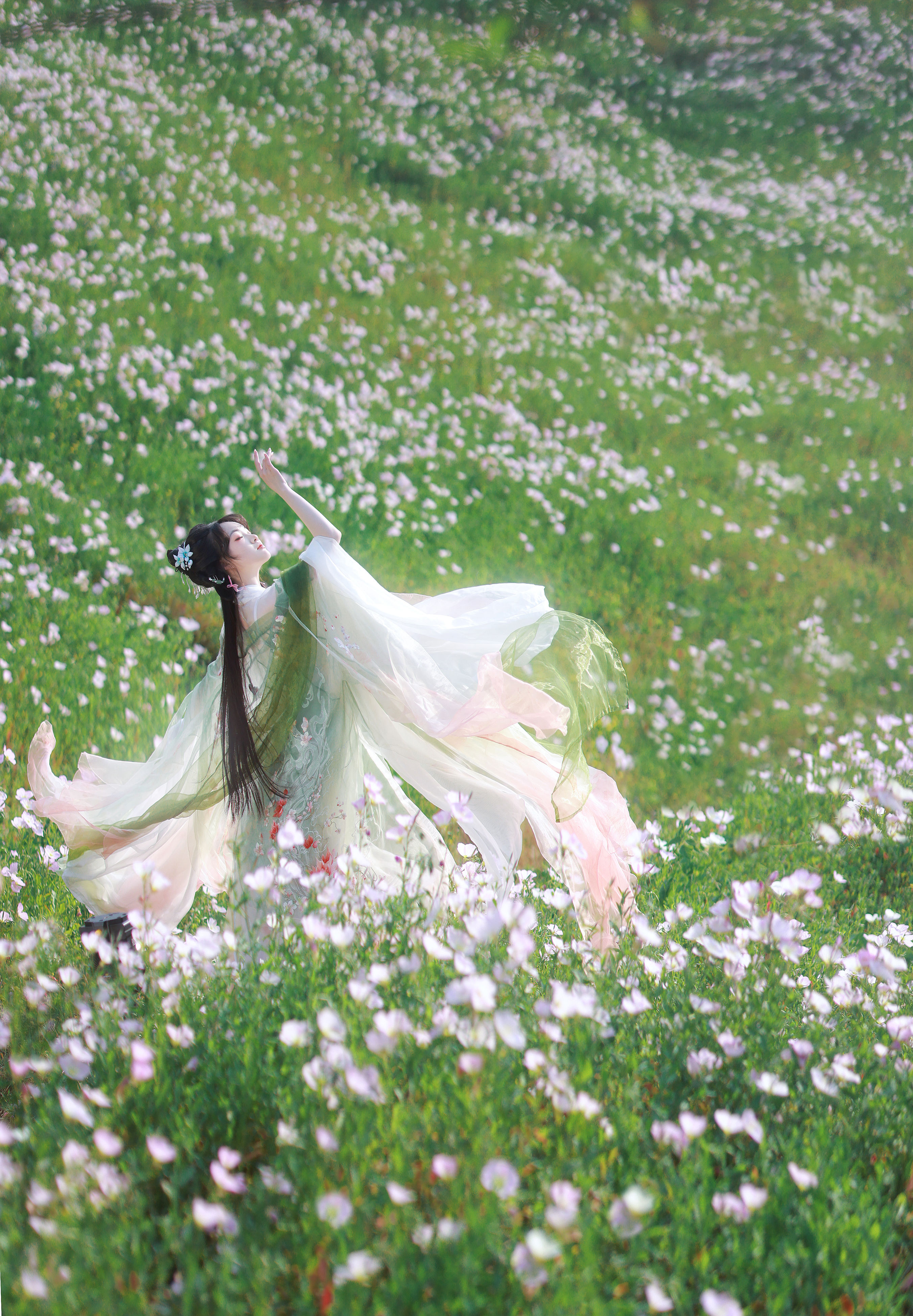 月见草