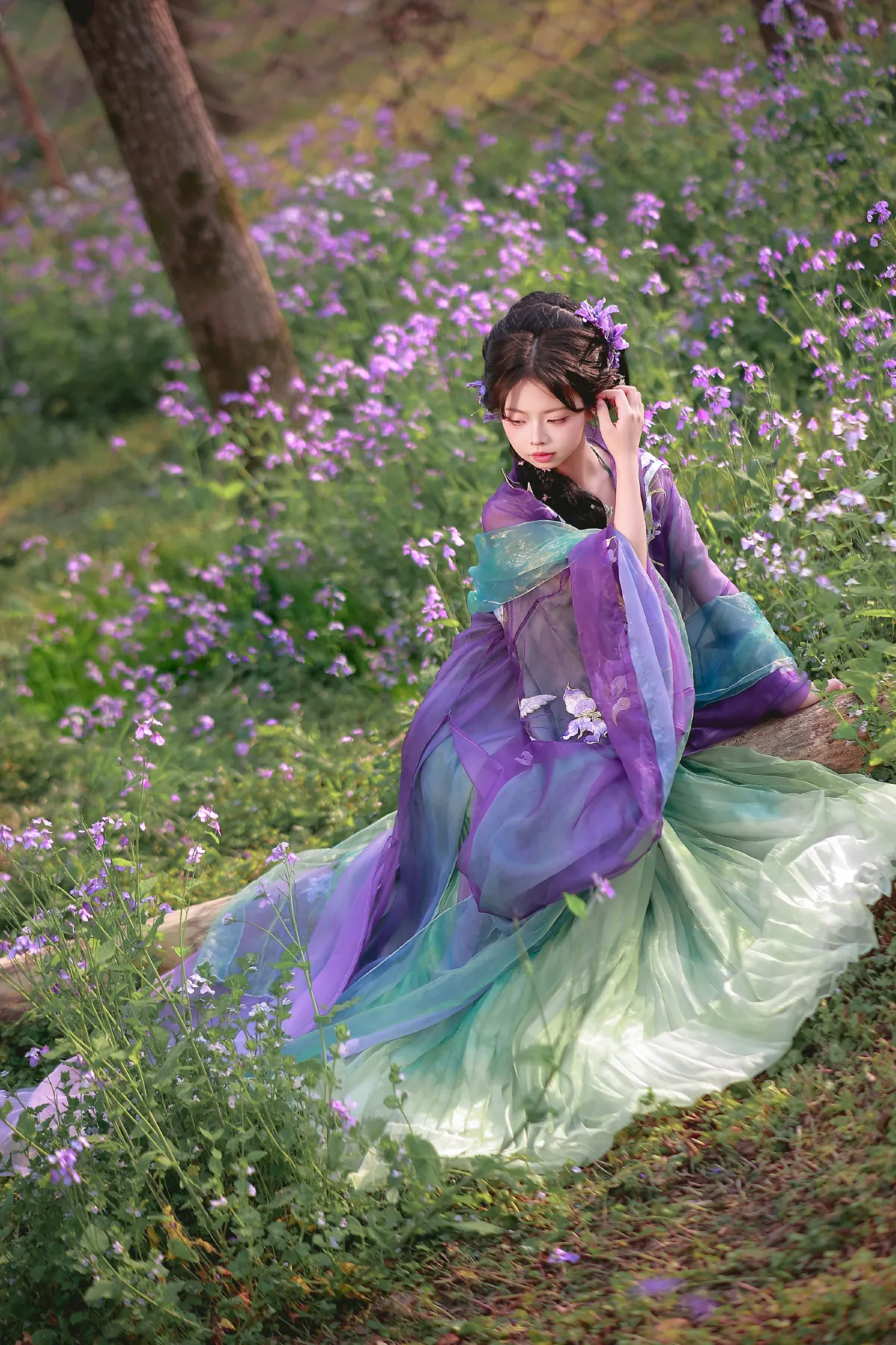 一姐_肥肥《二月兰》美图作品图片1