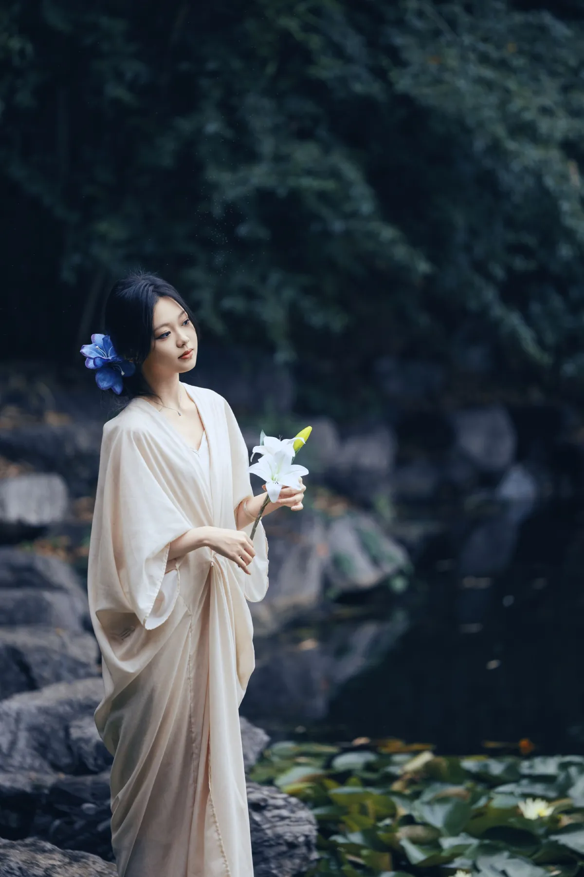 摄影师鹤白_晨曦《柳岸花明又一村》美图作品图片4