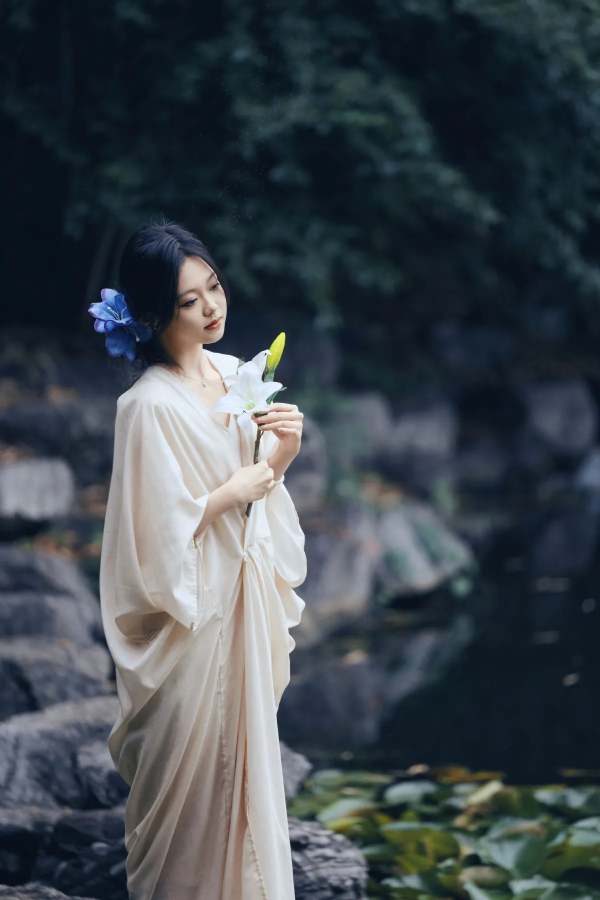 柳岸花明又一村5