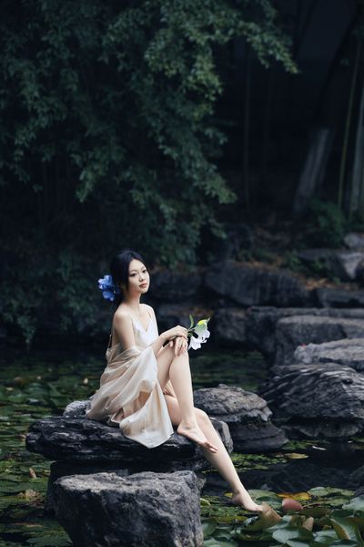 柳岸花明又一村