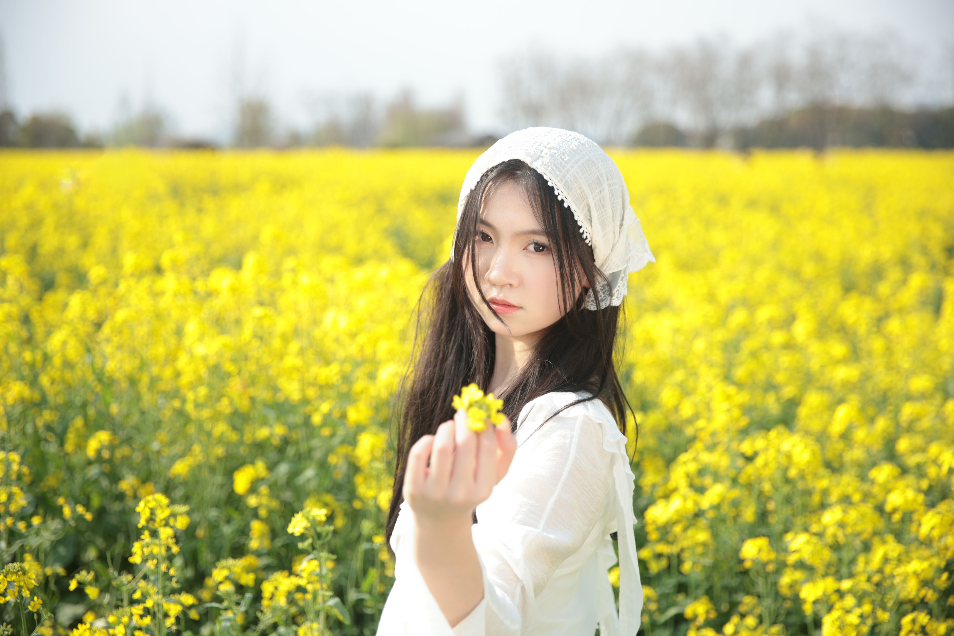 摄影师鹤白_小南《油菜花生命力》美图作品图片1