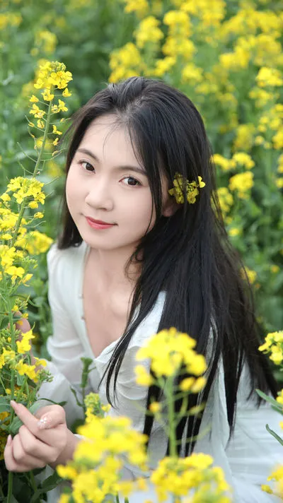 油菜花生命力