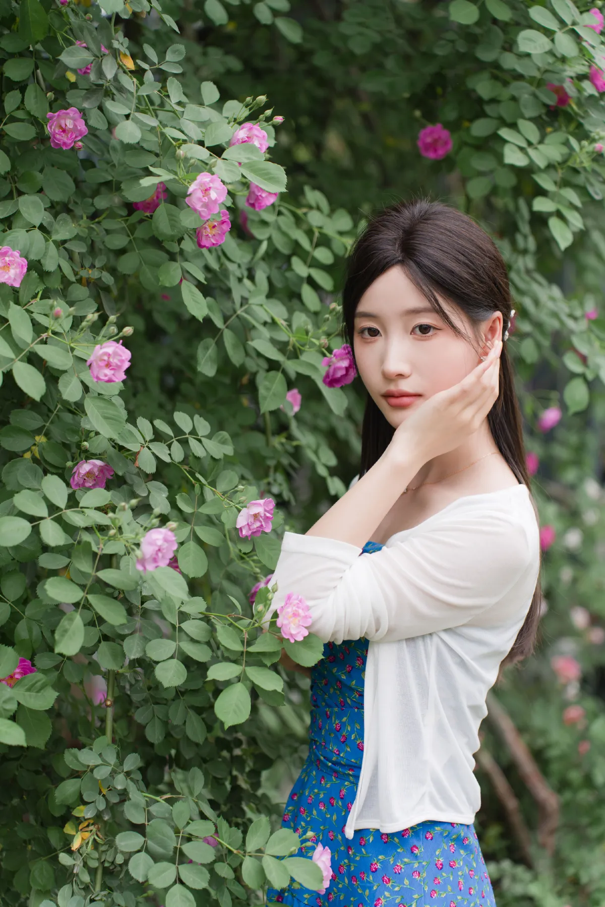 蔷薇春色4