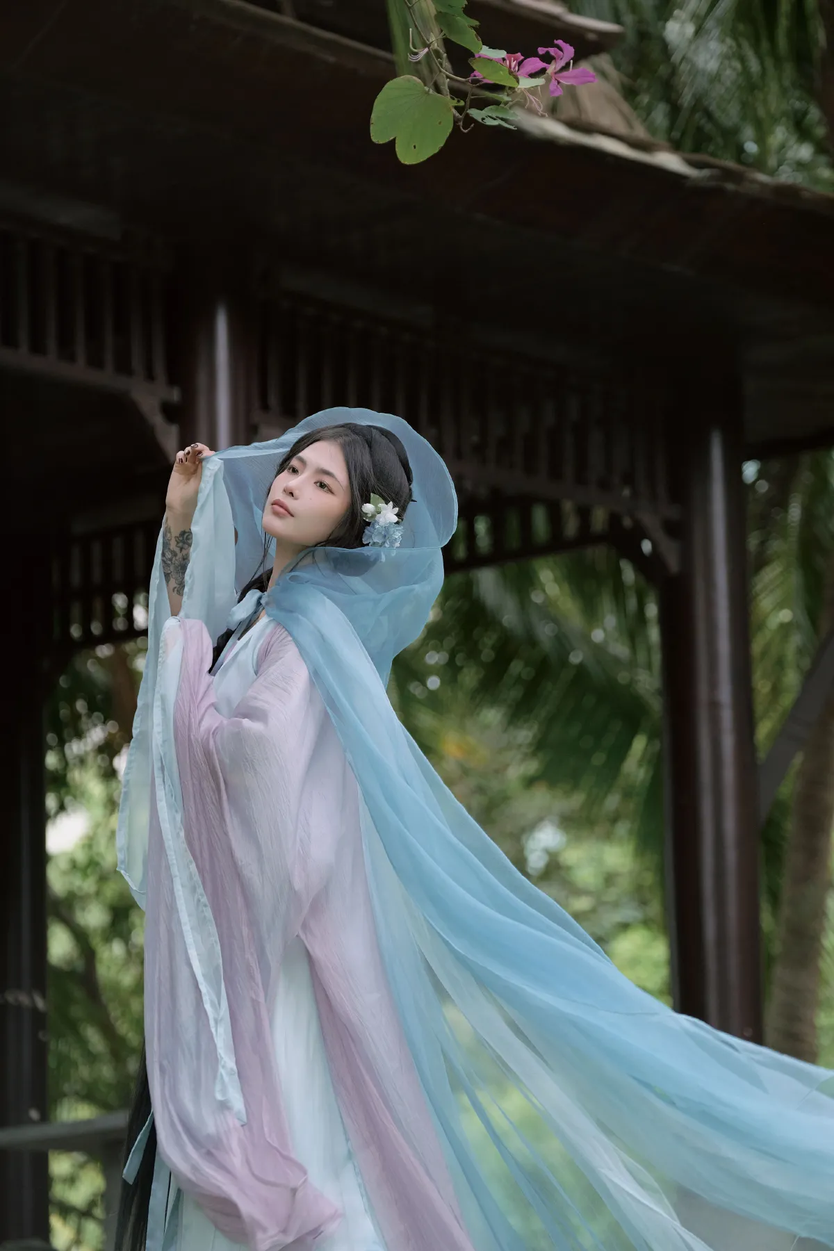 鸦青_鑫淼《仰春》美图作品图片4