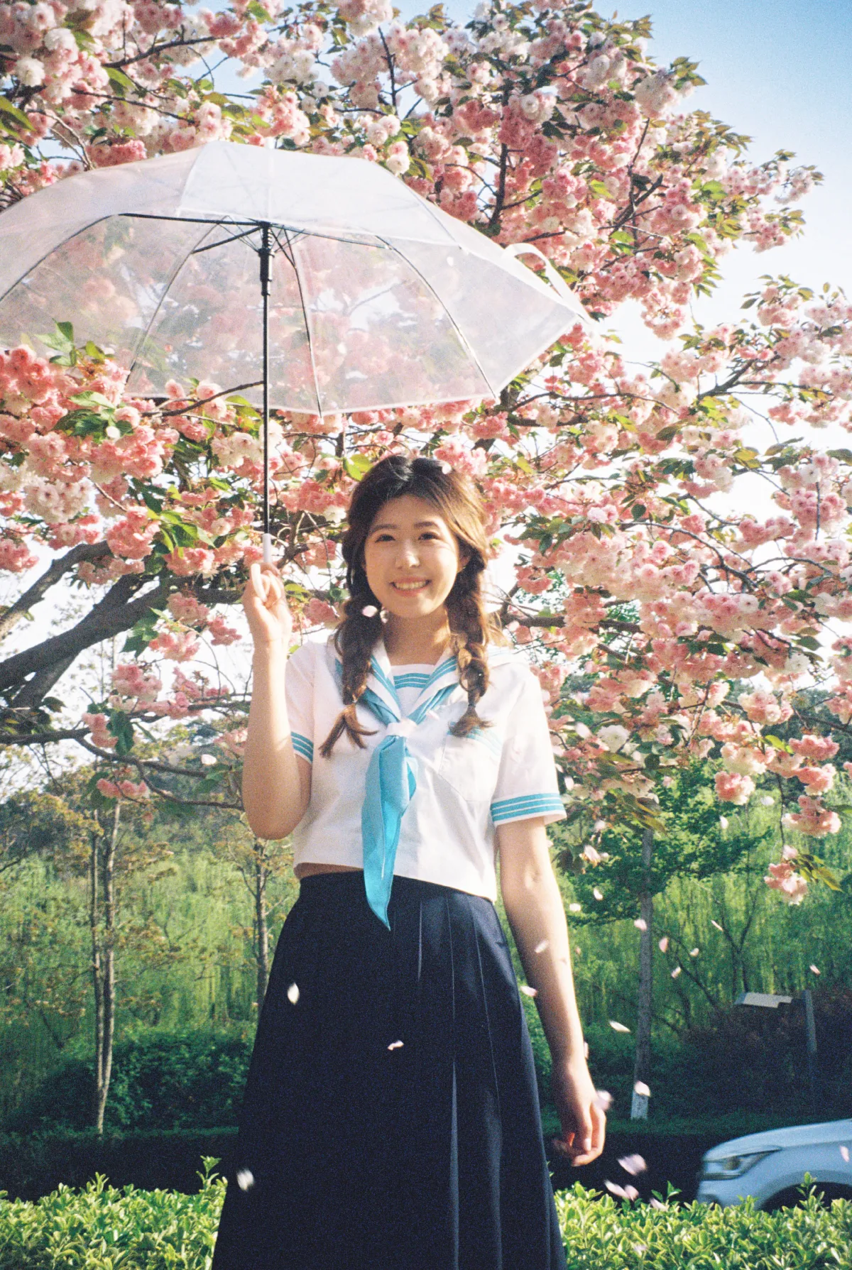 IUU___。《樱花物语》美图作品图片1