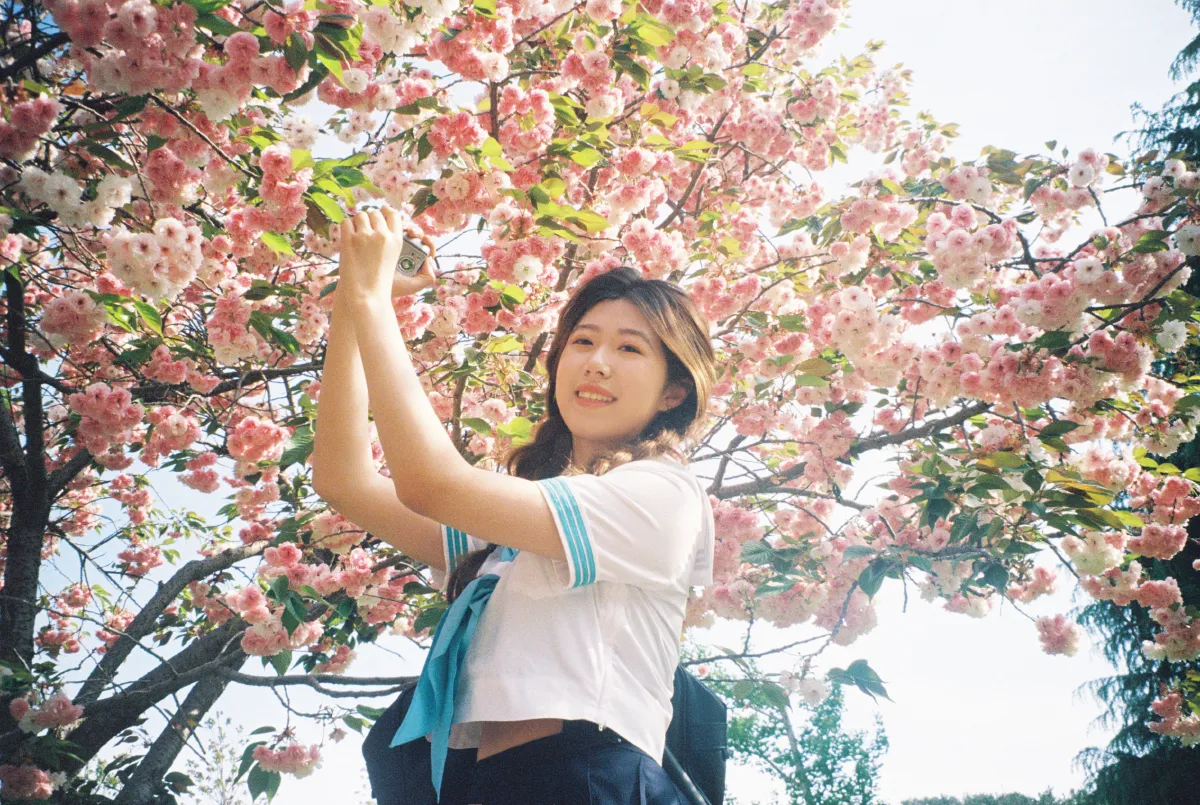 樱花物语3