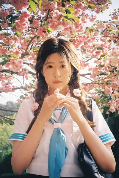 樱花物语