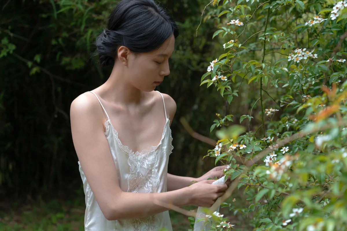 白裳与繁华的私语