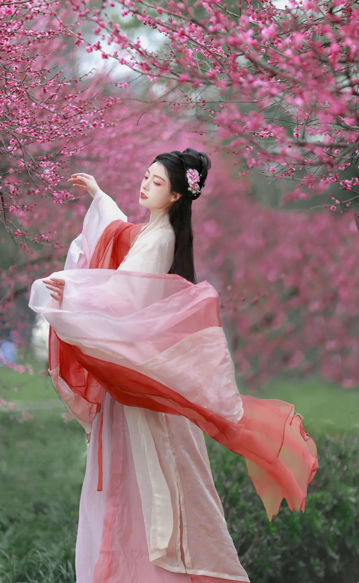 卷卷不卷w_岁岁如意《红梅》美图作品图片1