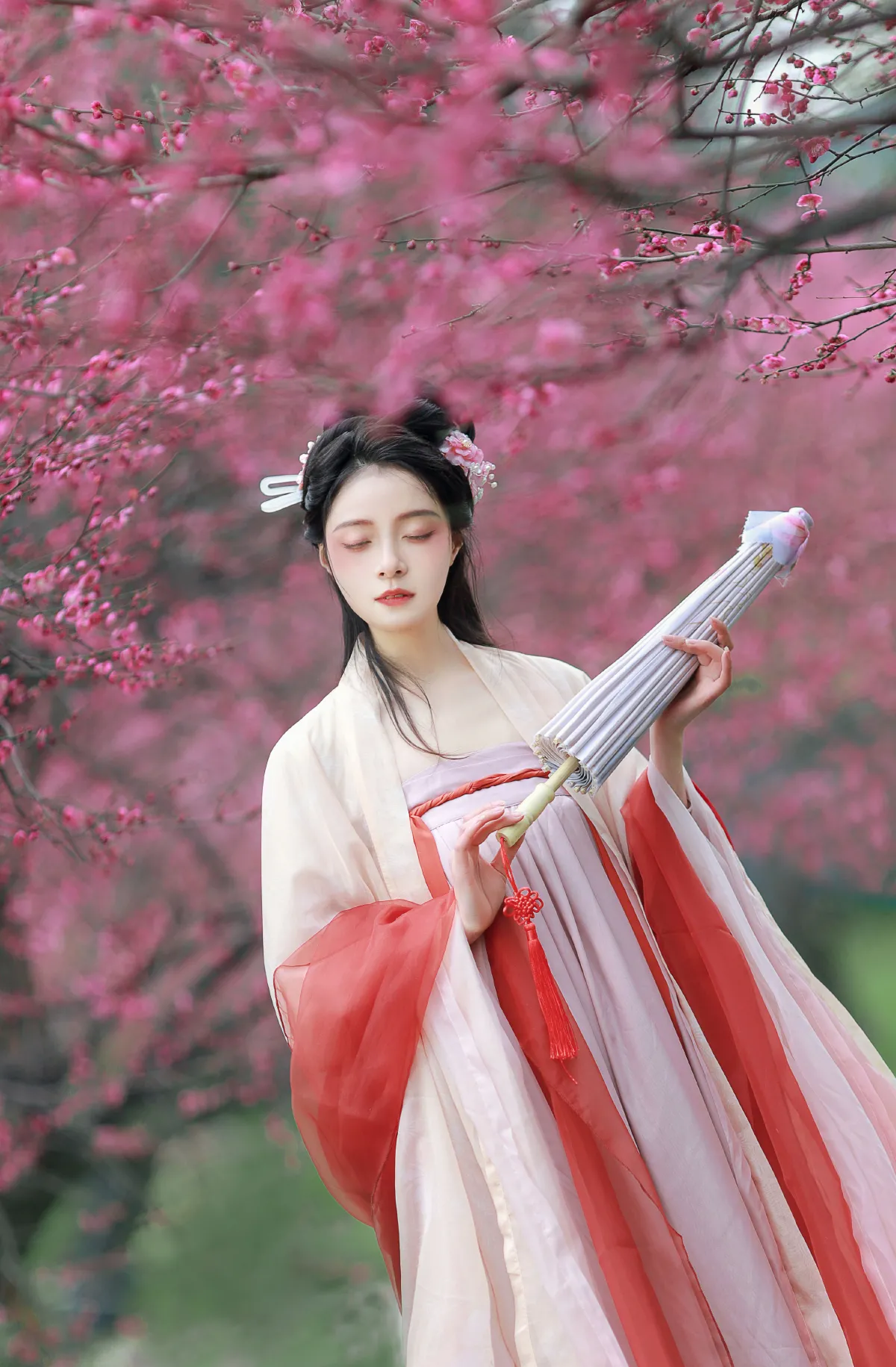 卷卷不卷w_岁岁如意《红梅》美图作品图片2