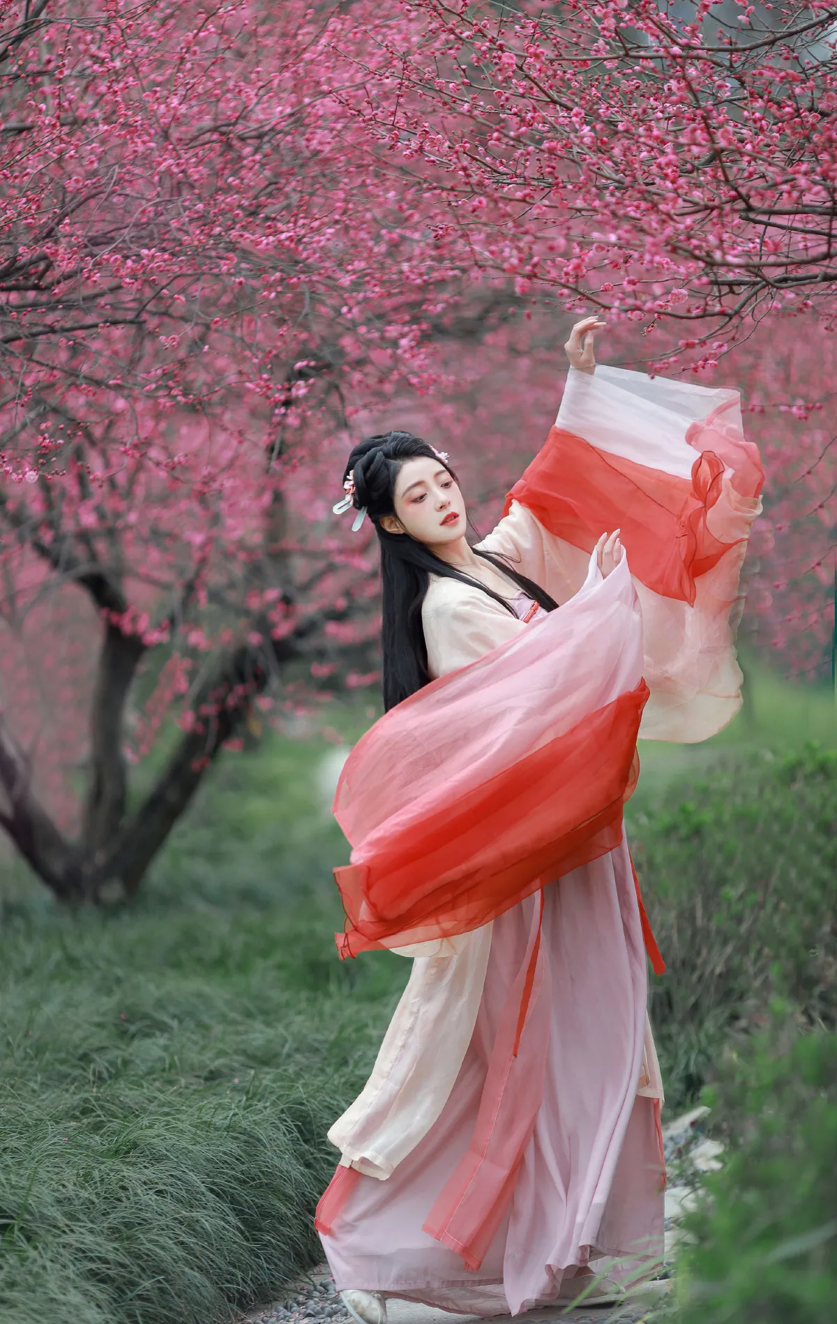 卷卷不卷w_岁岁如意《红梅》美图作品图片4