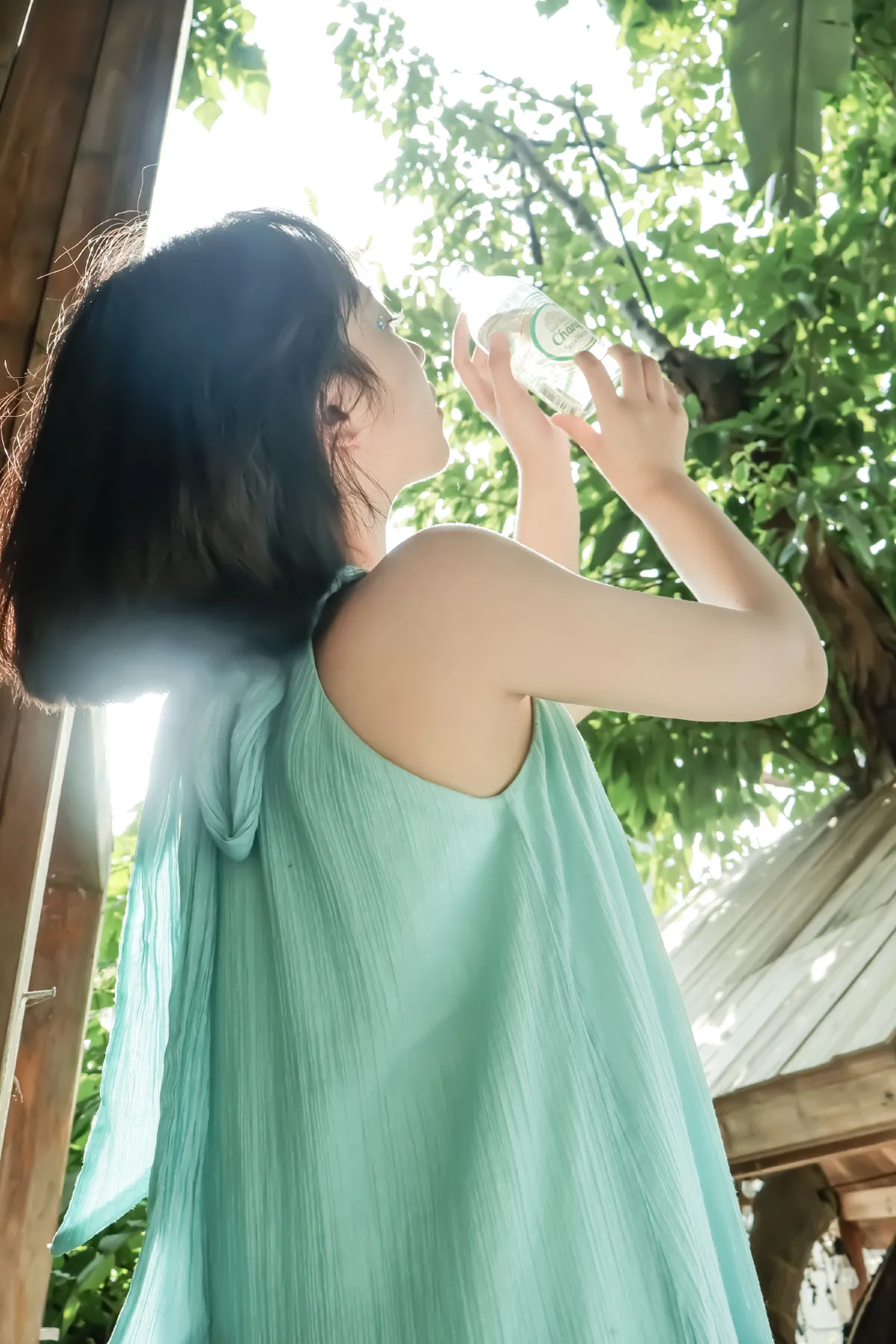 贝肯尼3_我是一颗圣诞树《薄荷之夏》美图作品图片1