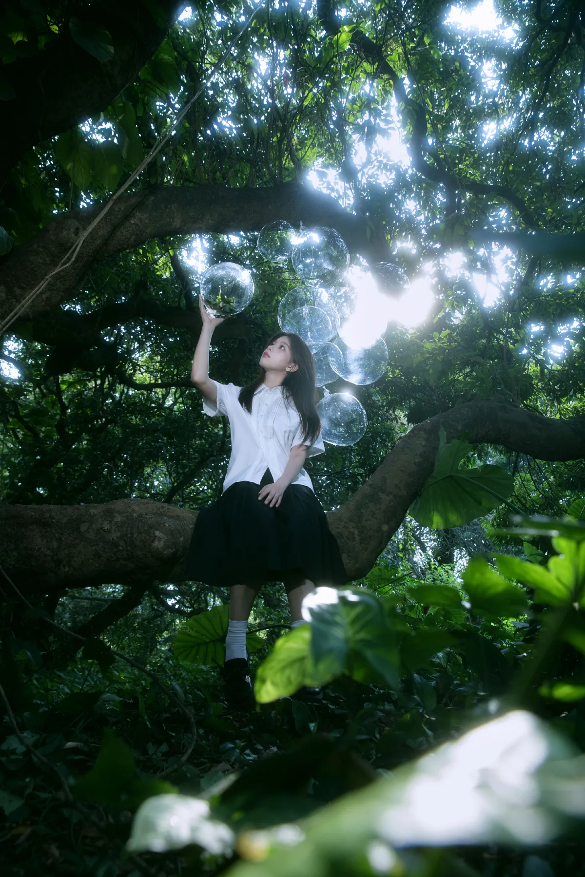 绿野仙踪1