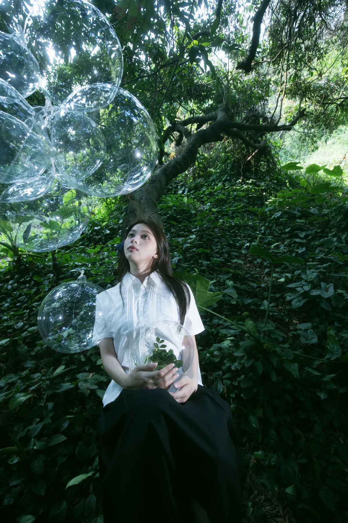 绿野仙踪4