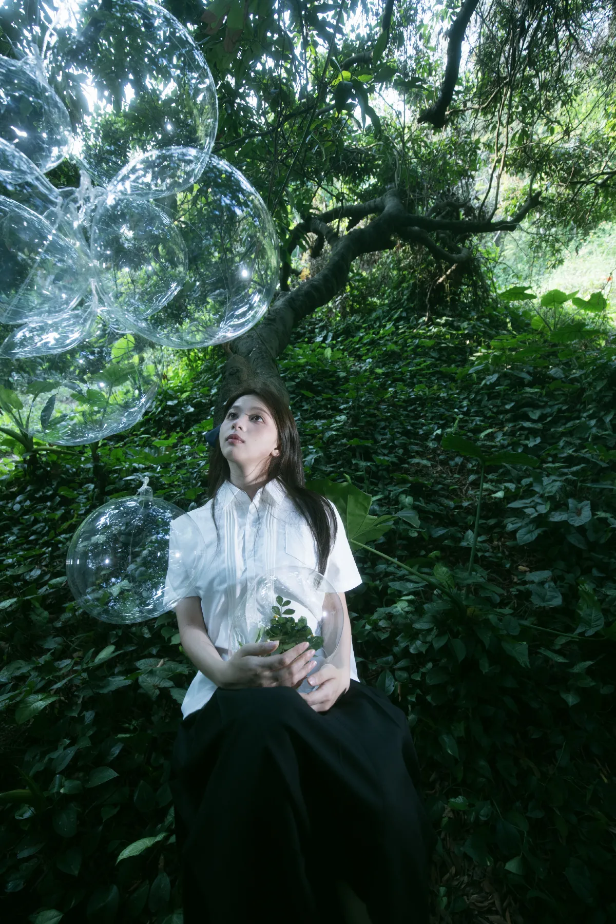 穆木林林_Cookie_《绿野仙踪》美图作品图片4