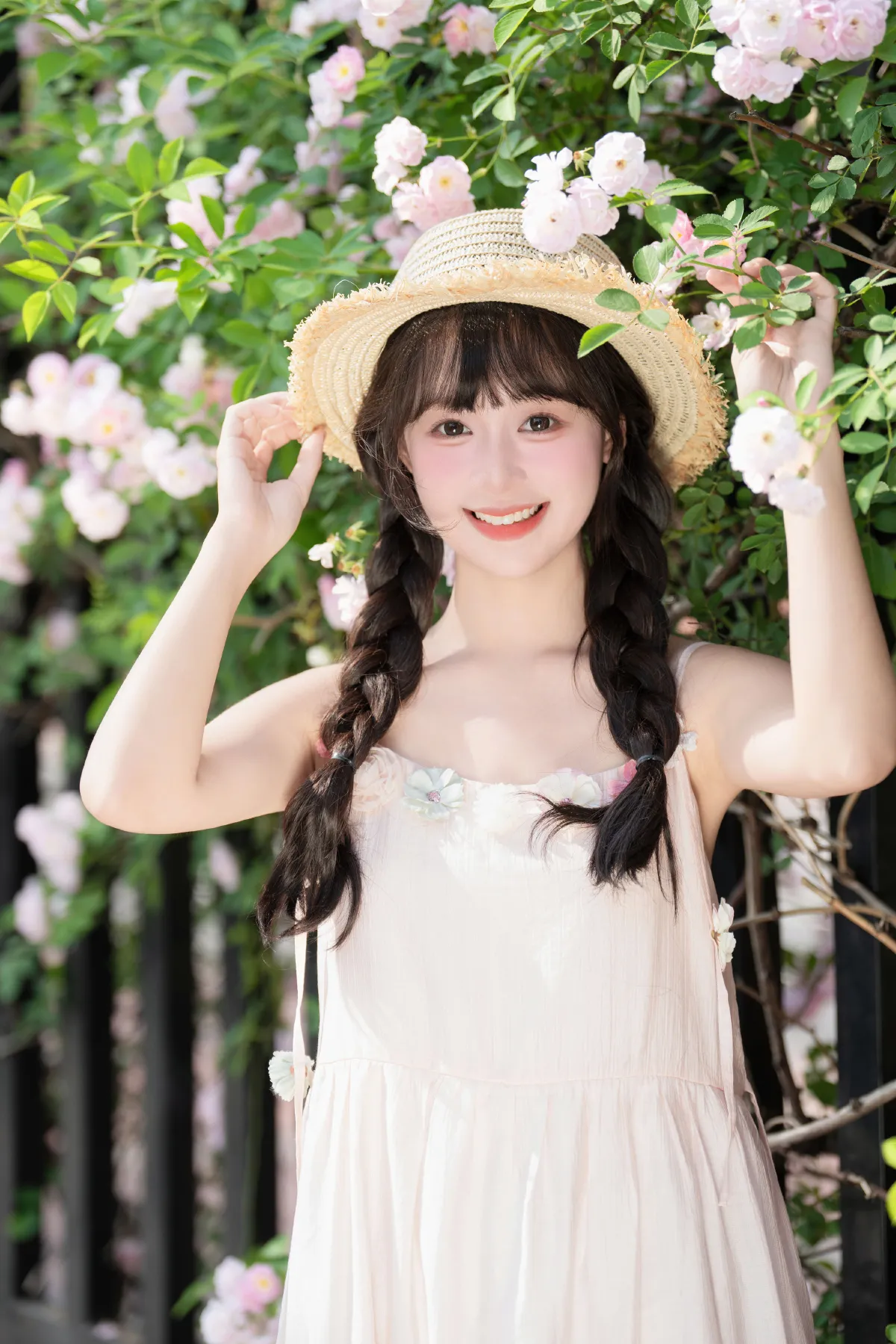 西夏_夏芋小年《粉色蔷薇》美图作品图片1