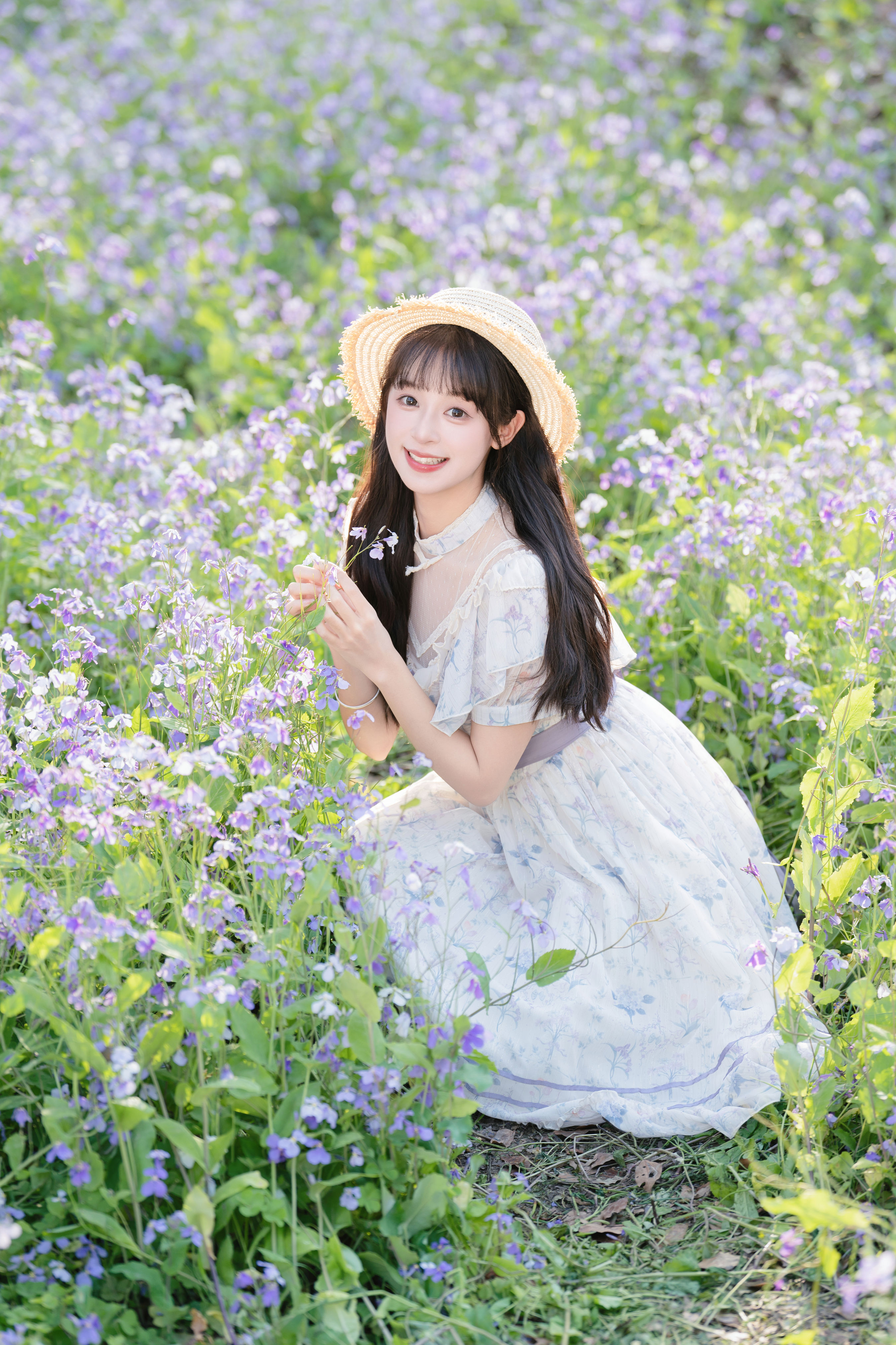 西夏_夏芋小年《二月兰花海》美图作品图片1