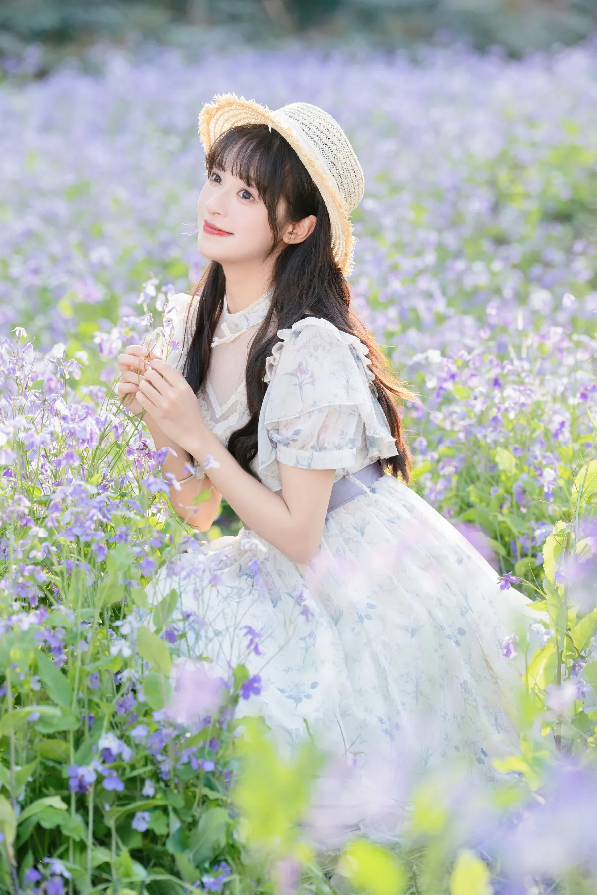 西夏_夏芋小年《二月兰花海》美图作品图片4