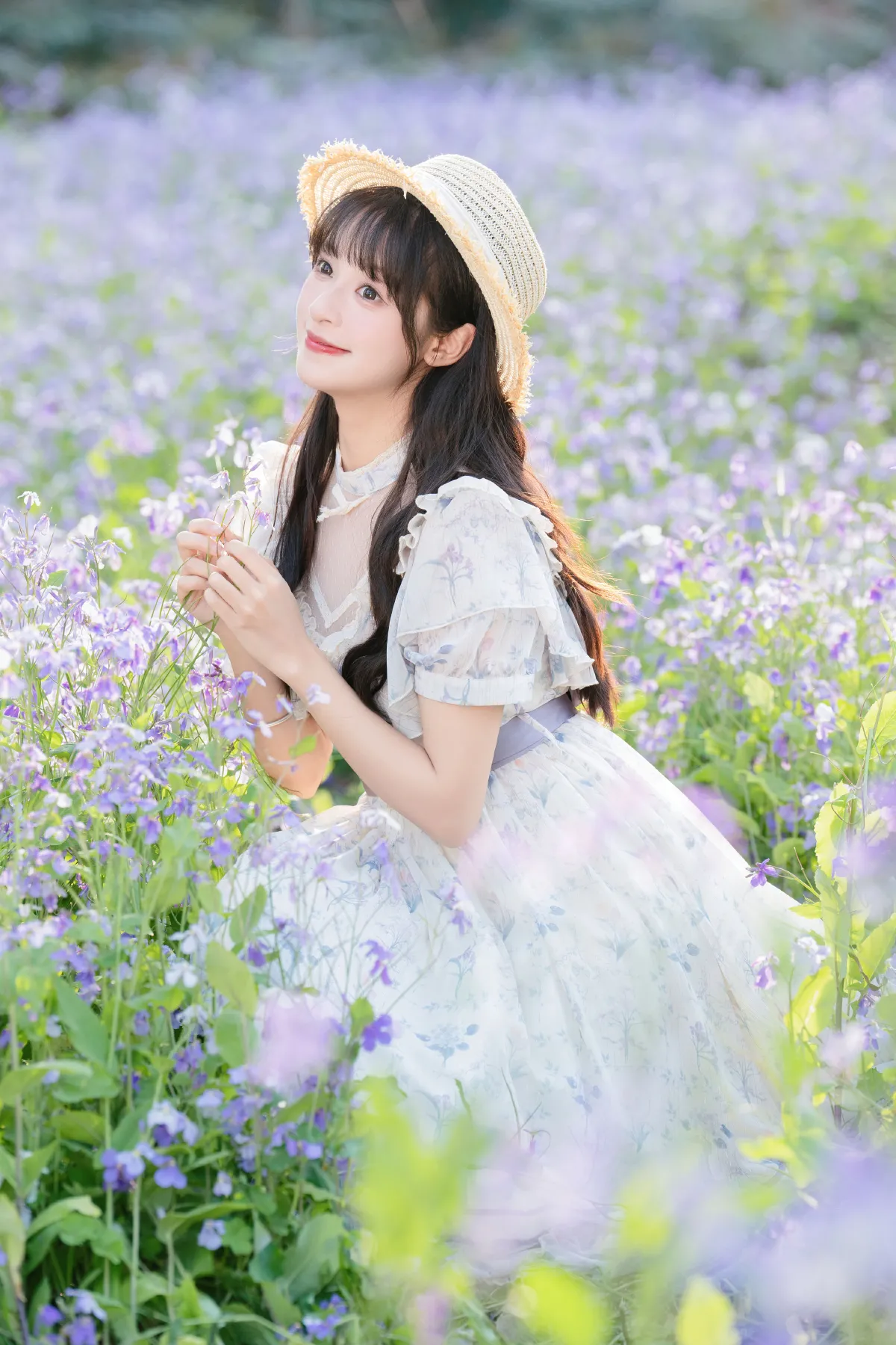 二月兰花海