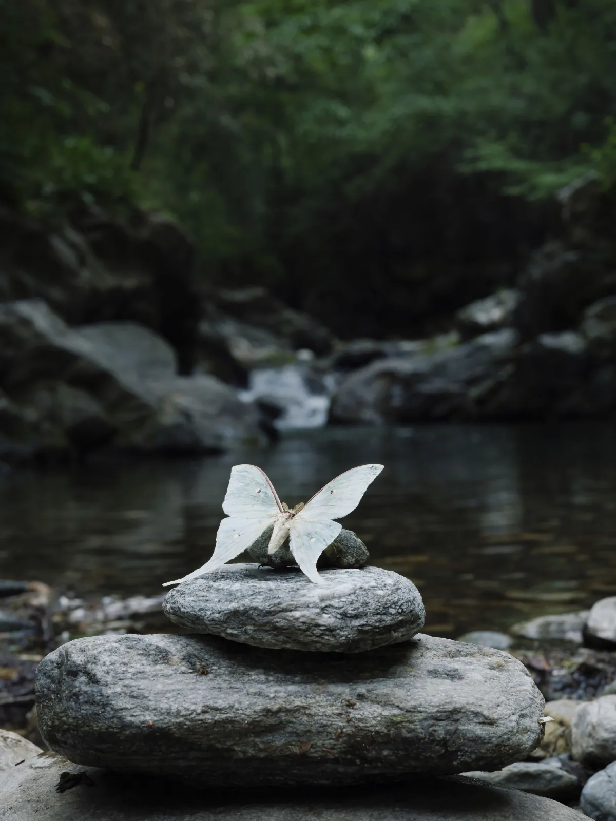 破茧