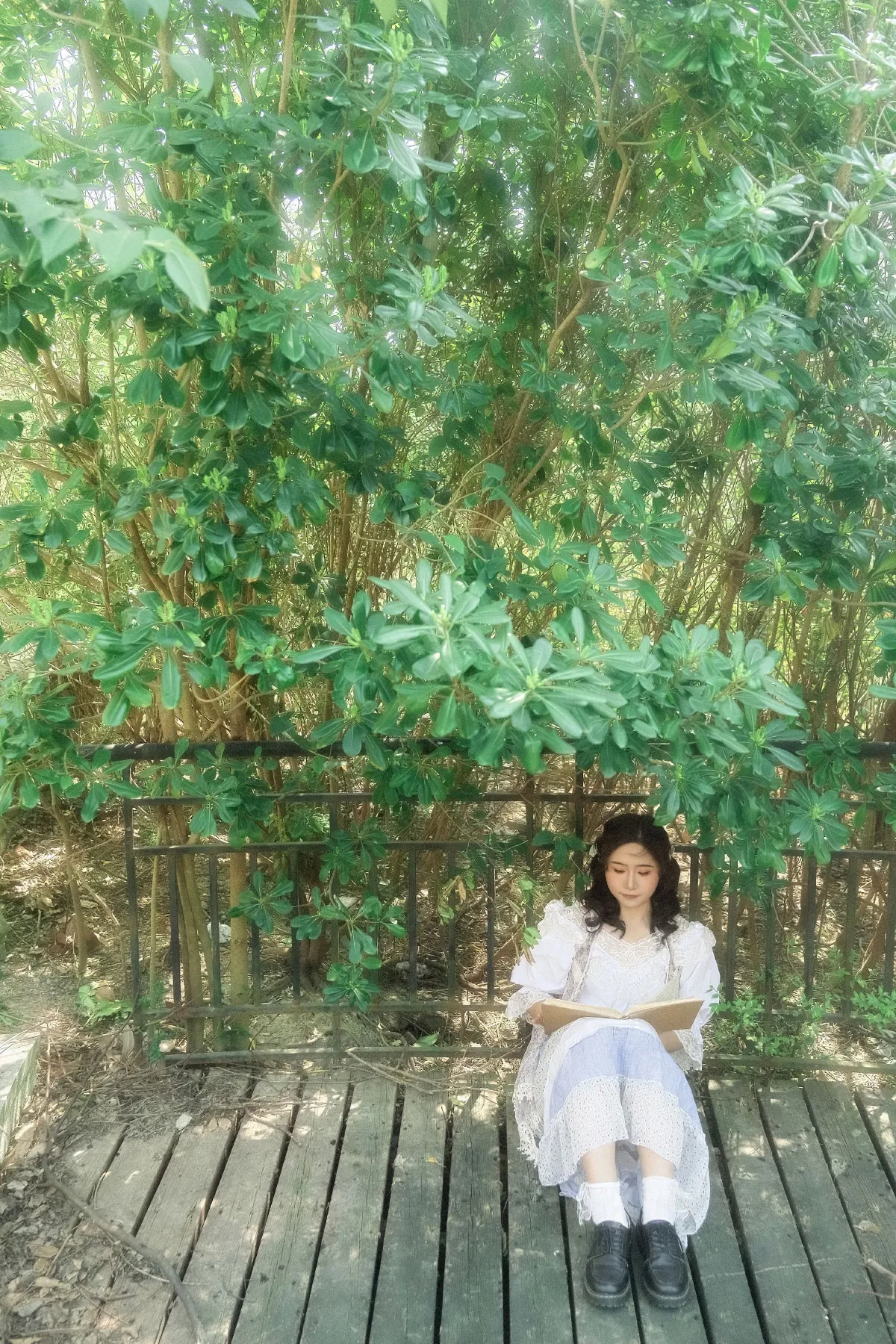 春5