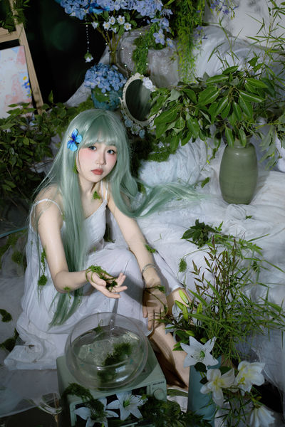 我的身体长满苔藓，跌落在潮湿的绿意里