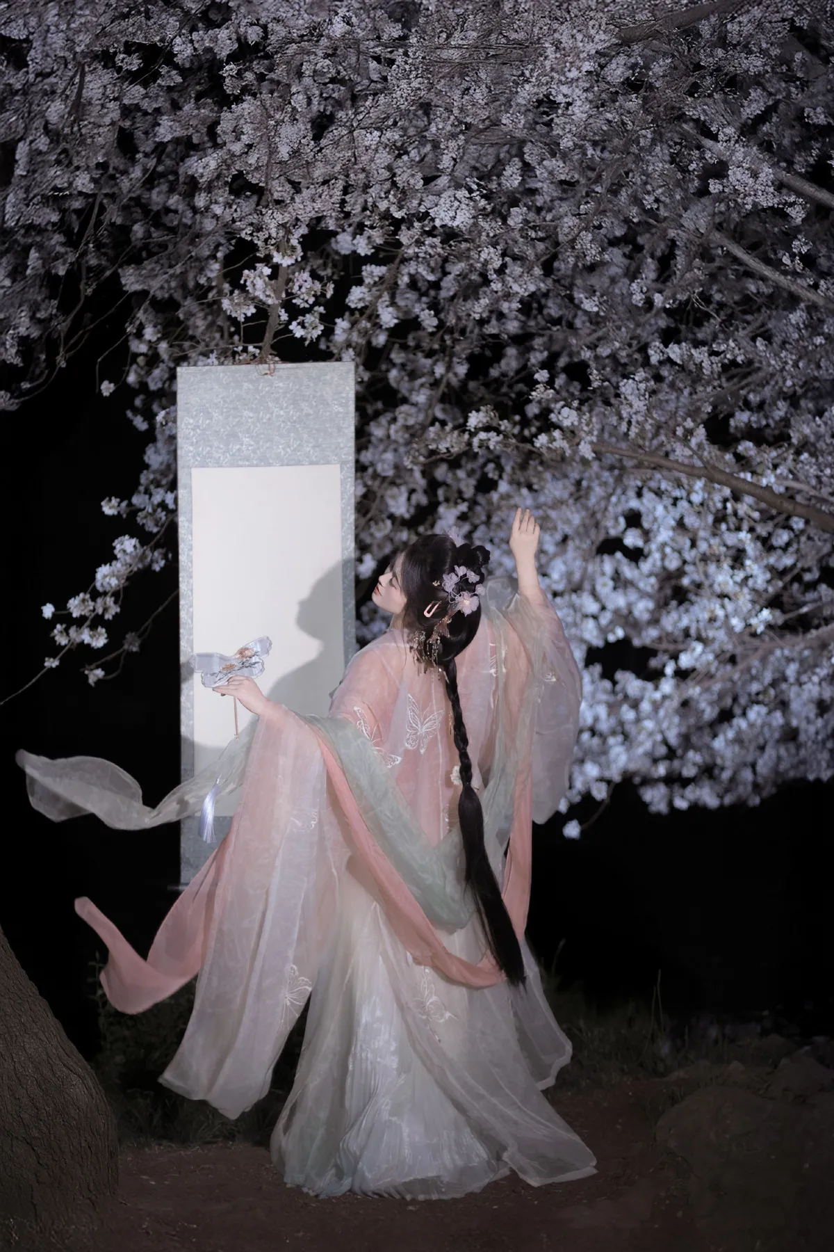 春夜赏樱