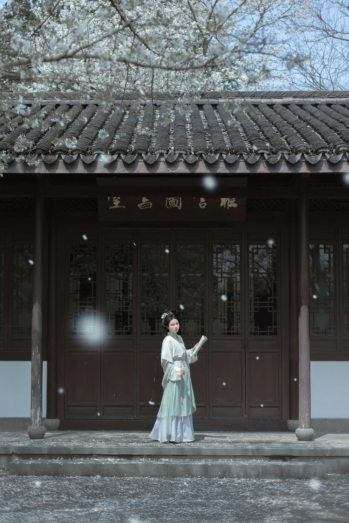 庭前雪1
