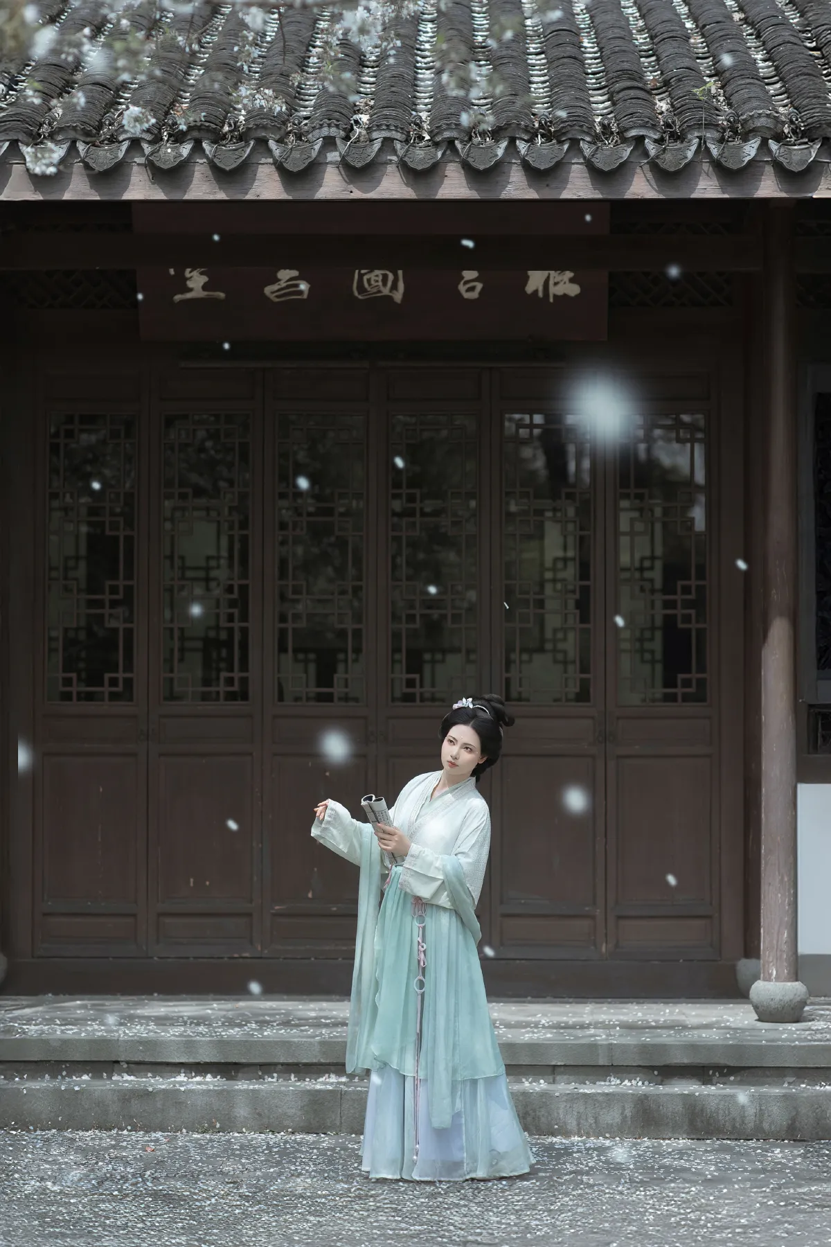 庭前雪