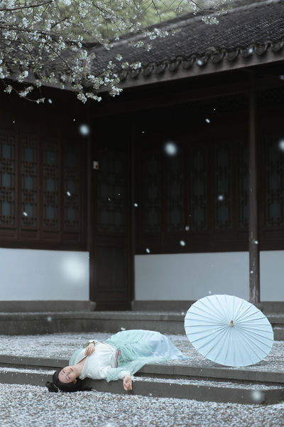 庭前雪