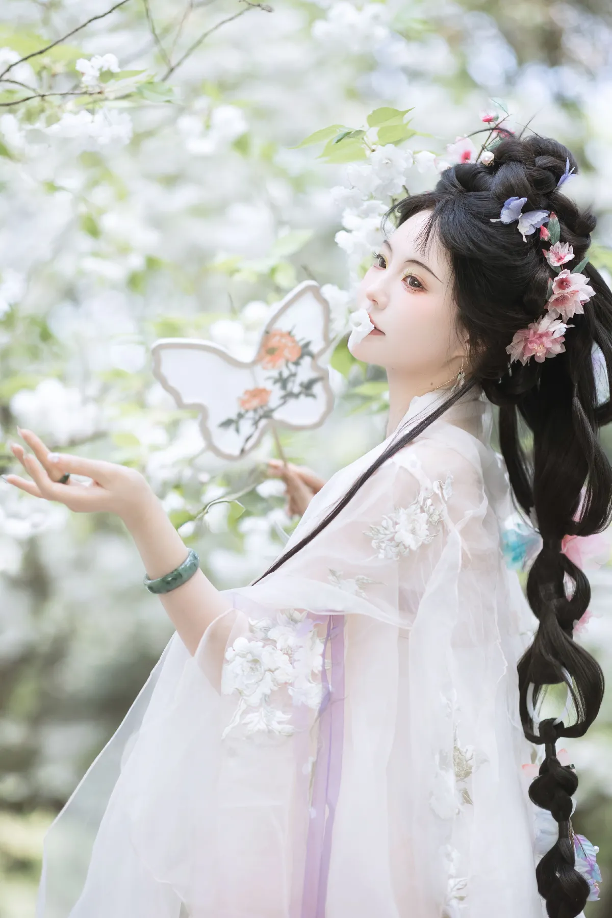 樱花似雪5